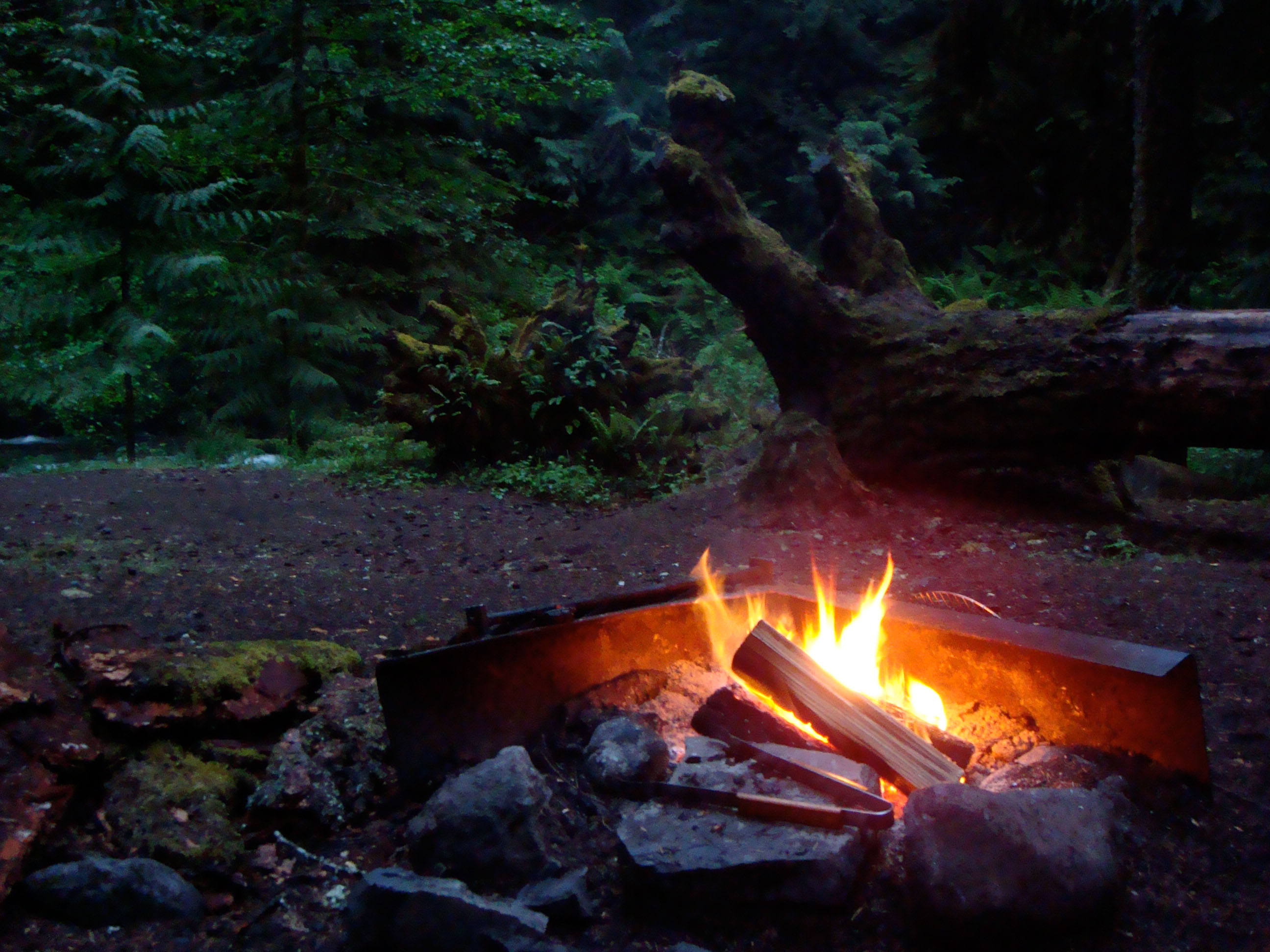 Fire I: Campfires - Maggie Maggio