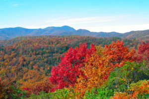 NorthCarolinaPeakFallFoilage